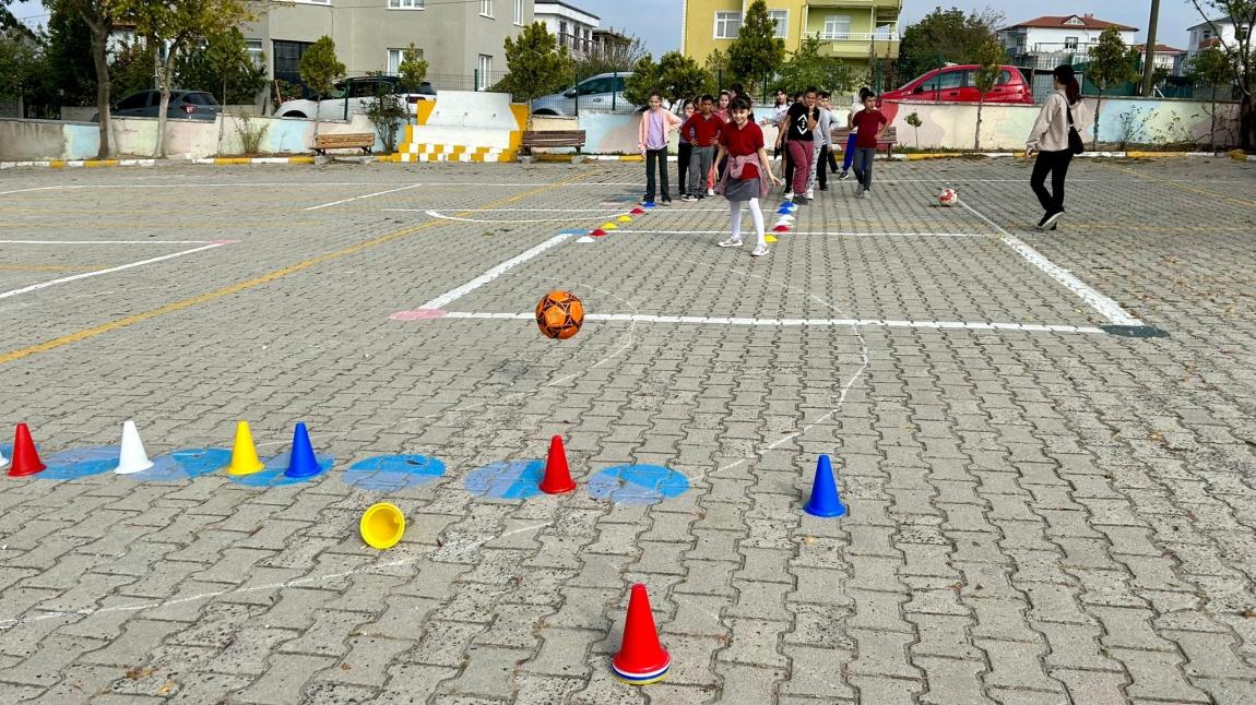 İlkokullarda Spor Dalı Eğitimi